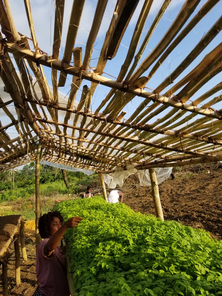 74698885 2403420636592116 4951155689427828736 n