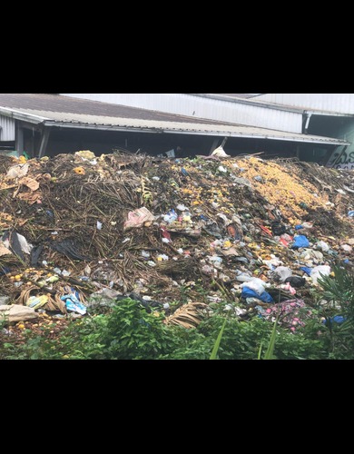 whatsapp image 2025 09 24 at 11.52.06 am copy